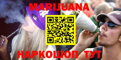 крисы Краснодар