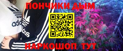 шишки Краснознаменск