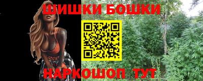 крисы Краснодар