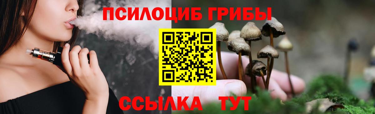 Кимры  Псилоцибиновые грибы Psilocybe  Вход с VPN  Галлюциногенные грибы Cubensis 